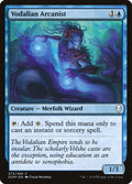 Vodalian Arcanist - Dominaria - 73