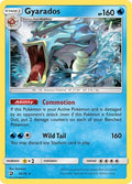 Gyarados - Dragon Majesty - 20/70 HOLOFOIL