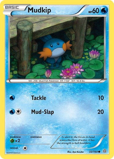 Mudkip - XY - Primal Clash - 33/160